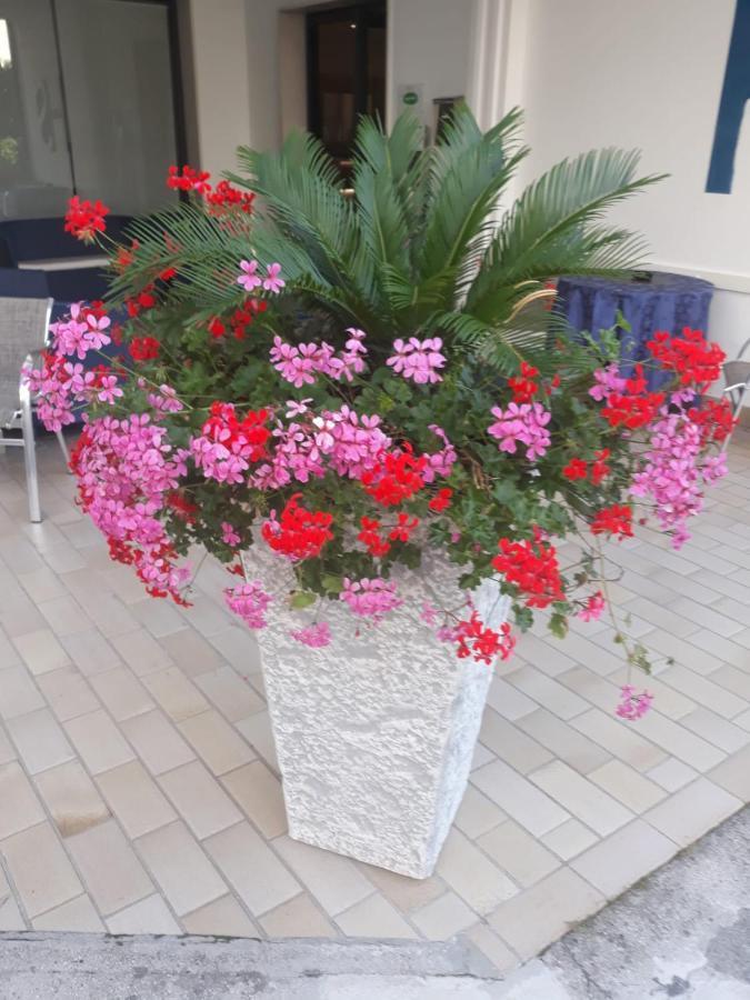 Hotel Serenella Lido di Jesolo Ngoại thất bức ảnh